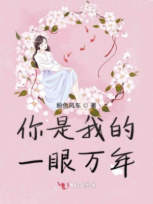交通网查驾照