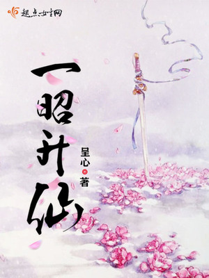 孪生城市